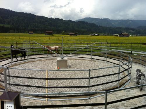 Führanlage mit gepflastertem Boden in Benutzung vor blühender Wiese,