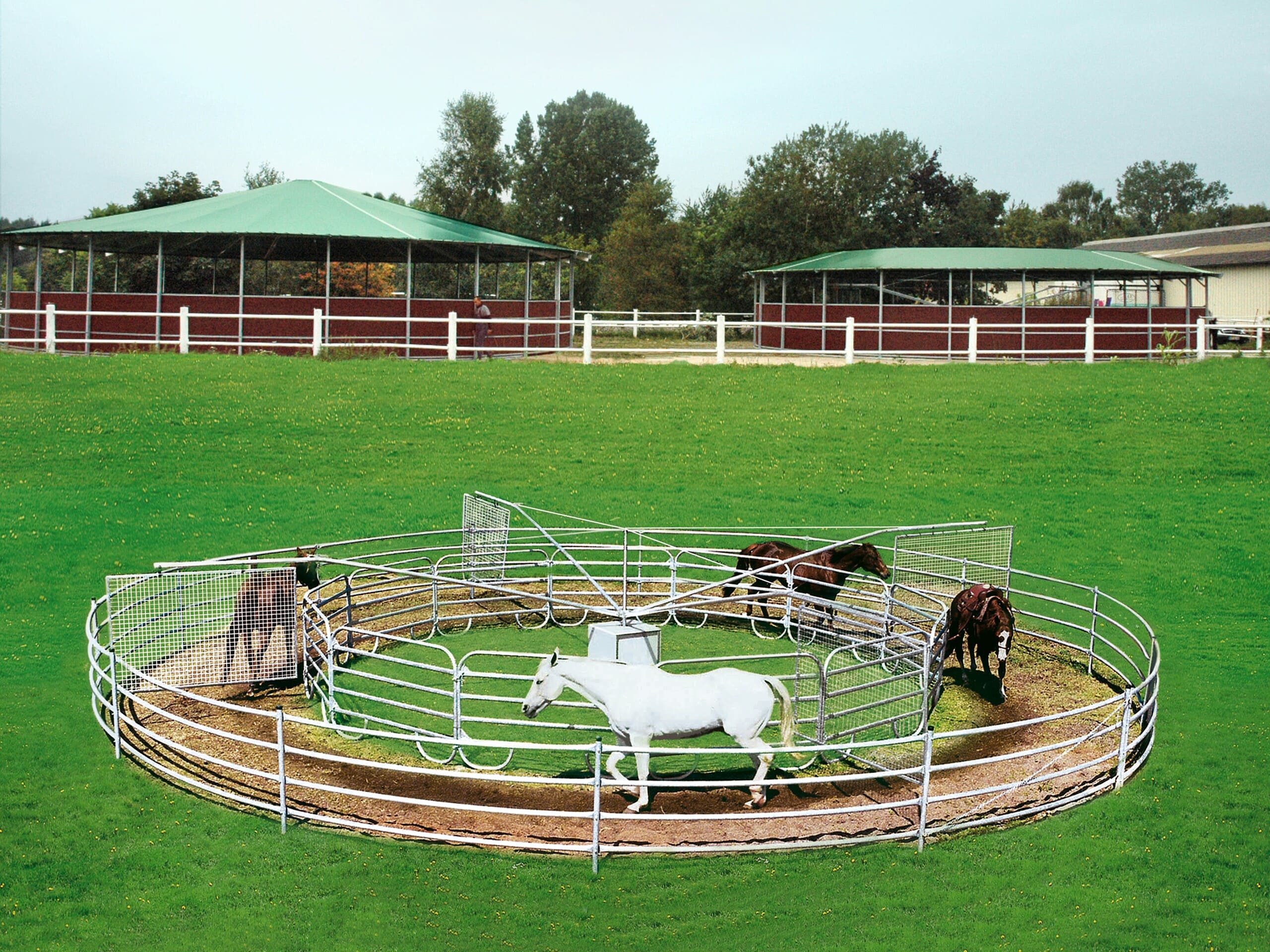 Kollage einer Führanlage mit 4 Pferden auf einer Wiese vor einer überdachten Führanlage und einer Longierhalle