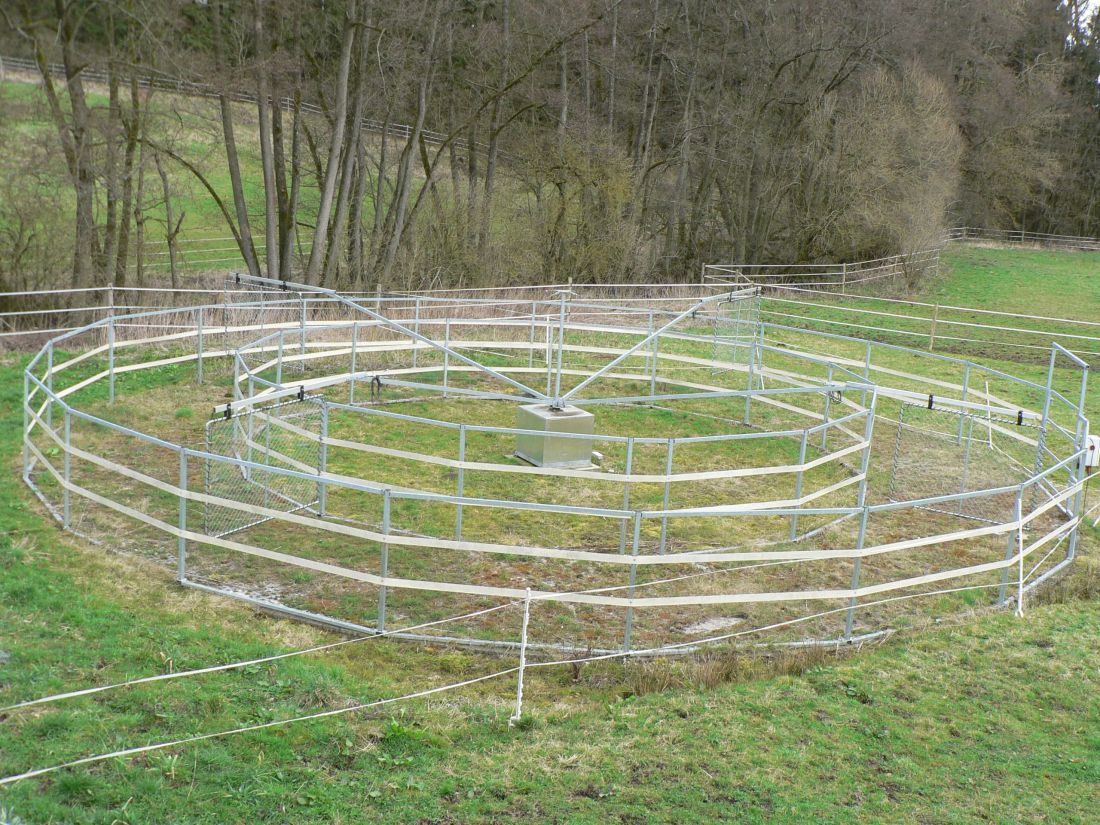 Führanlage ohne Dach mit Umzäunung auf Wiese