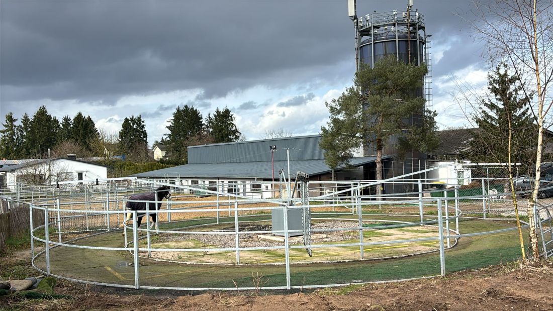 Hühranlage ohne Dach mit Lauffläche aus Kunstrasen