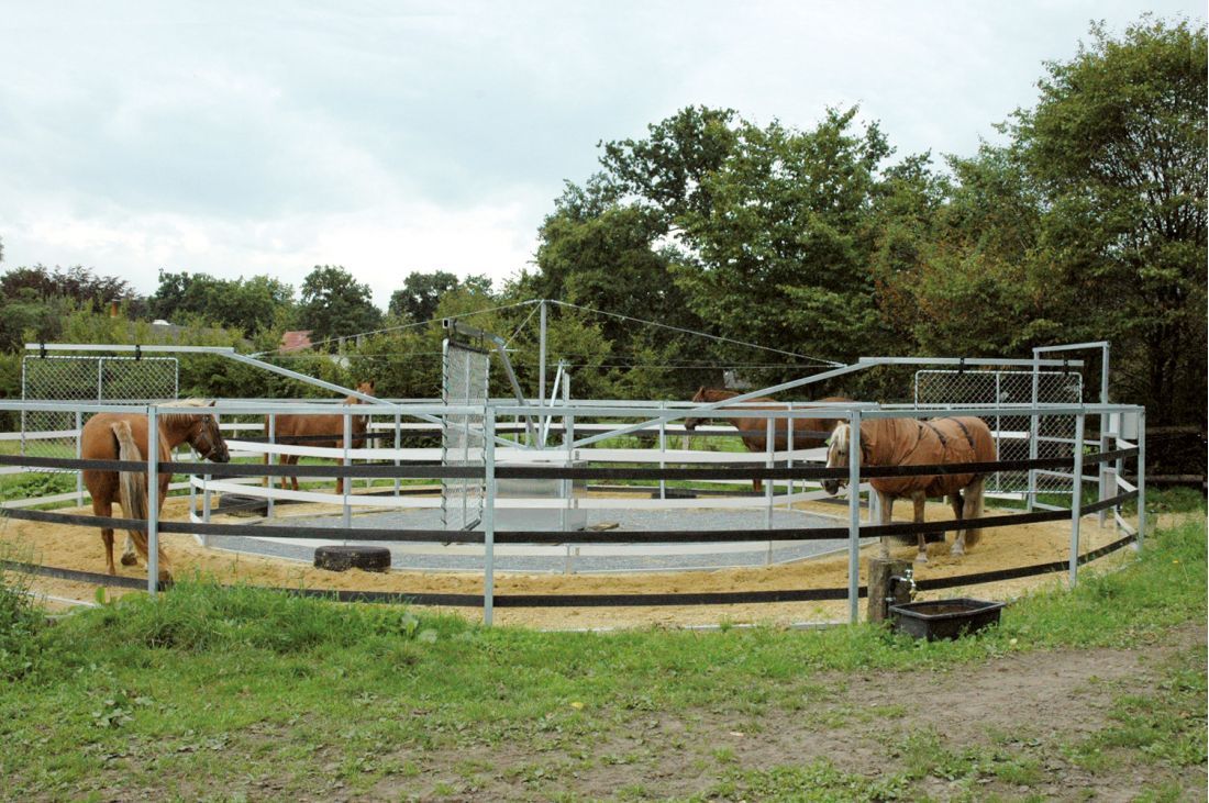 Führanlage ohne Dach mit festem Zaun und Sandlauffläche