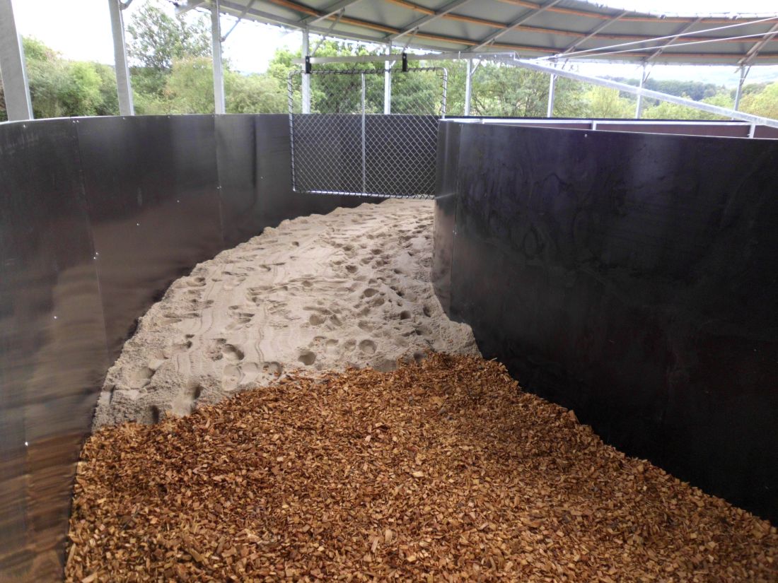 Verschiedene Bodenvarianten aus Holzhackschnitzeln und Sand in einer überdachten Führanlage