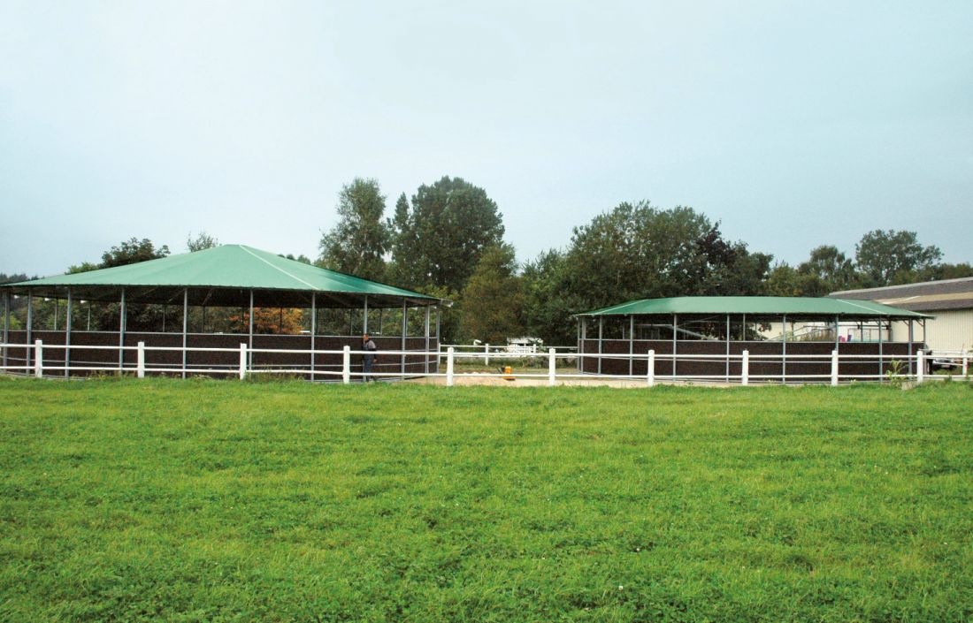 Ansicht überdachte Führanlage und Longierhalle von grüner Wiese