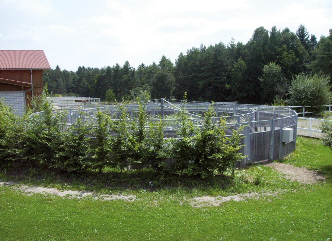 Führanlage eingewachsen vorher