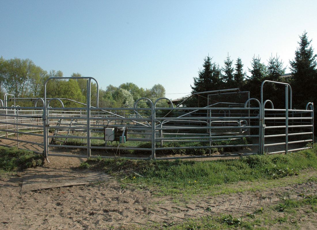 Führanlage mit Weidepanels als Verkleidung