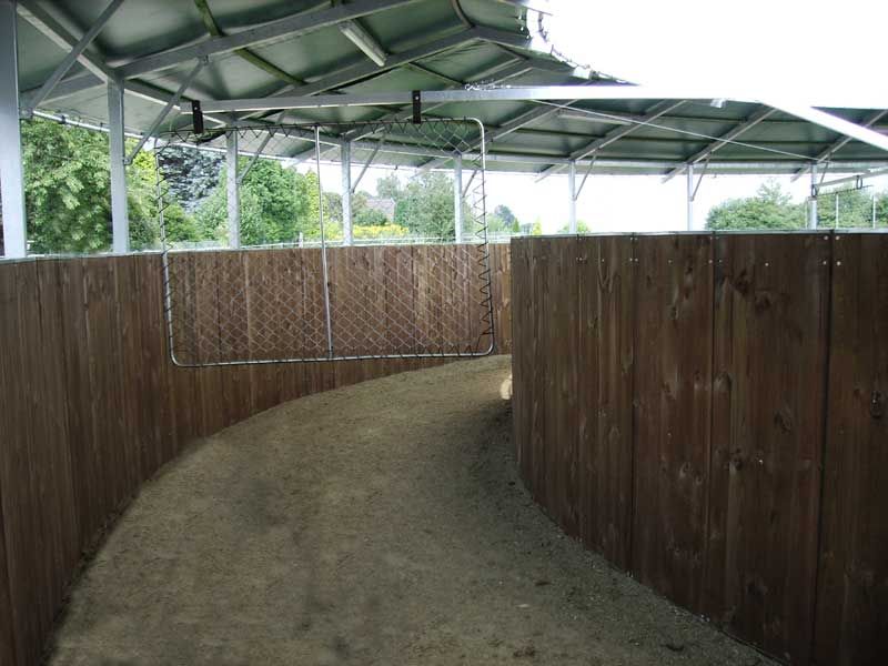 Innenansicht einer überdachten Führanlage mit Holzverkleidung